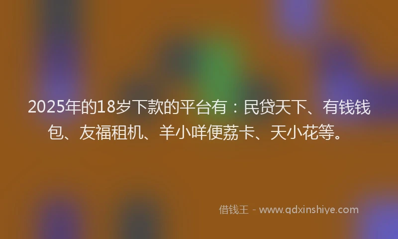 2025年的18岁下款的平台有：民贷天下、有钱钱包、友福租机、羊小咩便荔卡、天小花等。