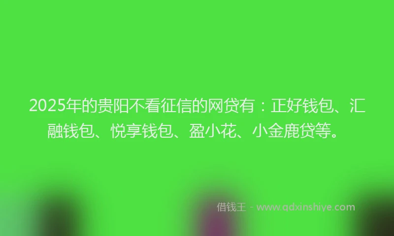 2025年的贵阳不看征信的网贷有：正好钱包、汇融钱包、悦享钱包、盈小花、小金鹿贷等。