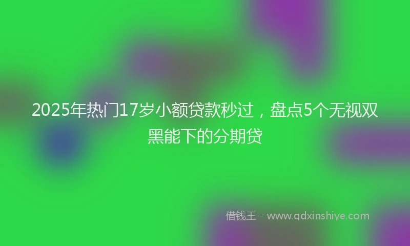 2025年热门17岁小额贷款秒过，盘点5个无视双黑能下的分期贷