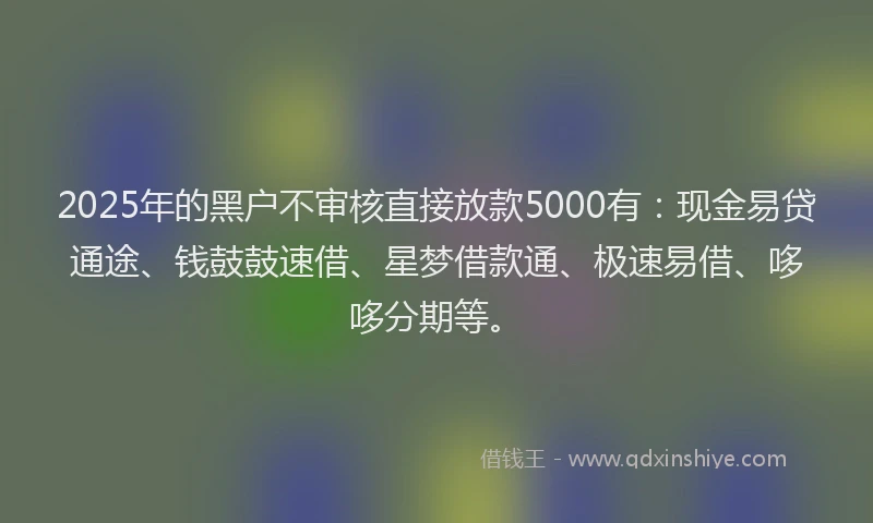 2025年的黑户不审核直接放款5000有：现金易贷通途、钱鼓鼓速借、星梦借款通、极速易借、哆哆分期等。