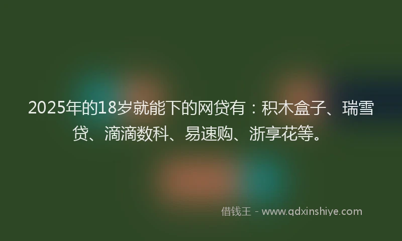 2025年的18岁就能下的网贷有：积木盒子、瑞雪贷、滴滴数科、易速购、浙享花等。