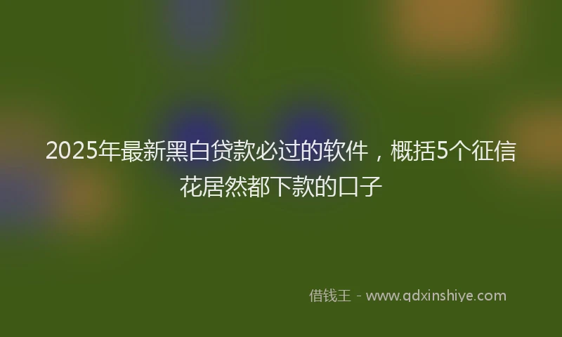 2025年最新黑白贷款必过的软件，概括5个征信花居然都下款的口子