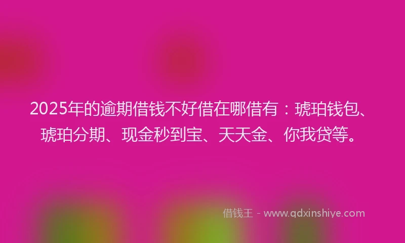 2025年的逾期借钱不好借在哪借有：琥珀钱包、琥珀分期、现金秒到宝、天天金、你我贷等。