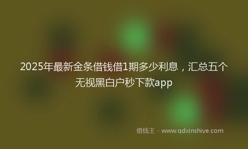 2025年最新金条借钱借1期多少利息，汇总五个无视黑白户秒下款app