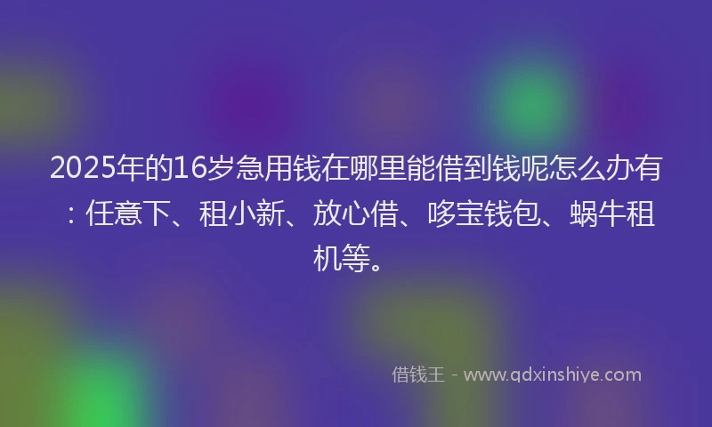 2025年的16岁急用钱在哪里能借到钱呢怎么办有：任意下、租小新、放心借、哆宝钱包、蜗牛租机等。