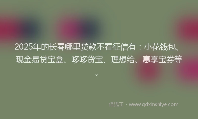 2025年的长春哪里贷款不看征信有：小花钱包、现金易贷宝盒、哆哆贷宝、理想给、惠享宝券等。