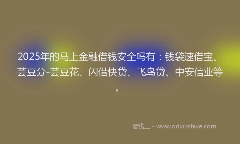2025年的马上金融借钱安全吗有：钱袋速借宝、芸豆分-芸豆花、闪借快贷、飞鸟贷、中安信业等。