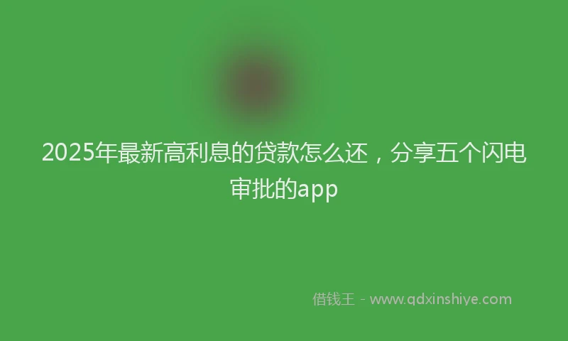 2025年最新高利息的贷款怎么还，分享五个闪电审批的app