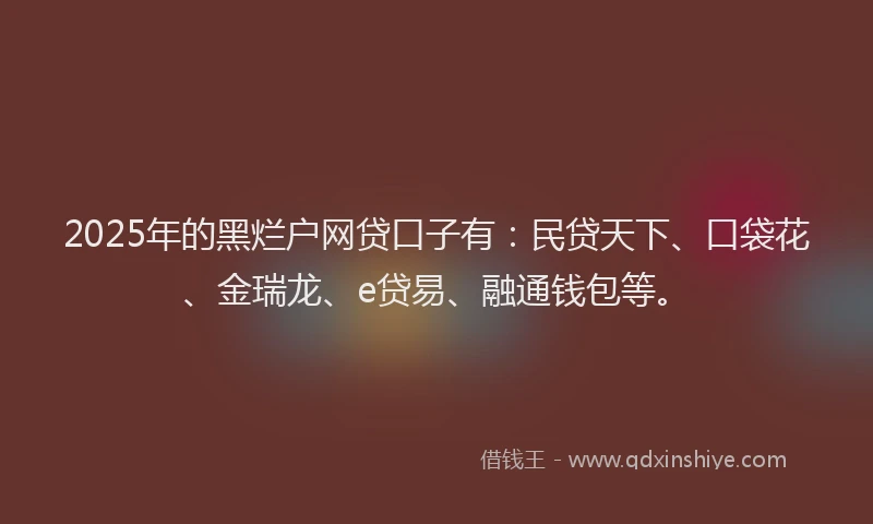 2025年的黑烂户网贷口子有：民贷天下、口袋花、金瑞龙、e贷易、融通钱包等。