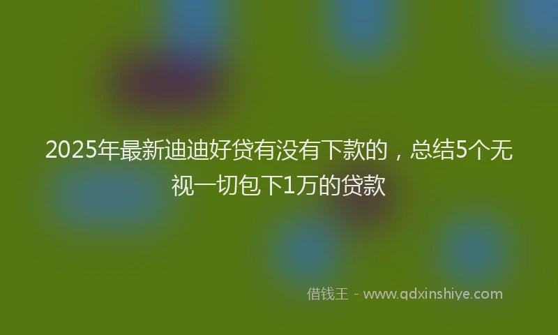 2025年最新迪迪好贷有没有下款的，总结5个无视一切包下1万的贷款