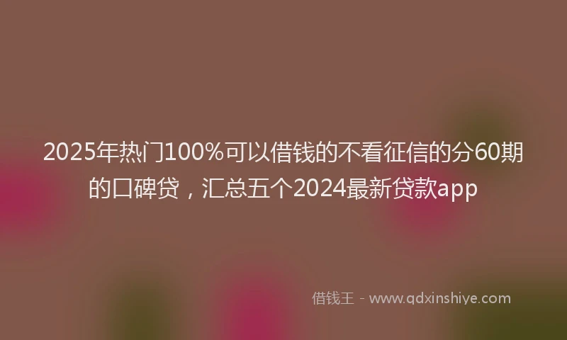 2025年热门100%可以借钱的不看征信的分60期的口碑贷，汇总五个2024最新贷款app