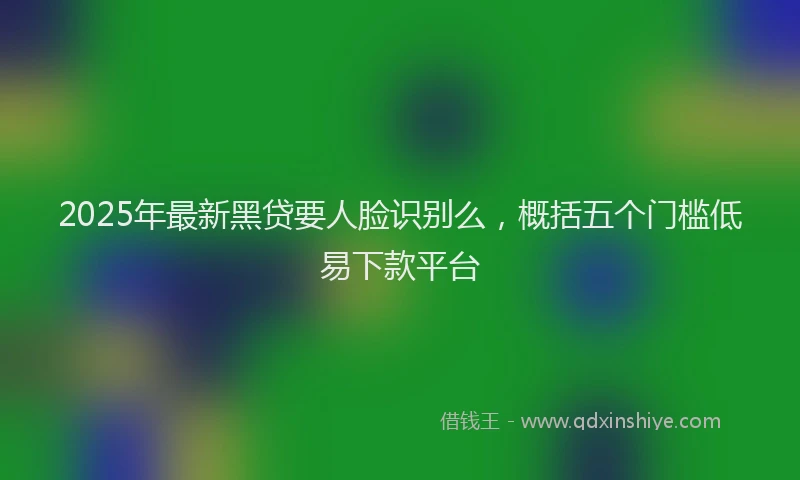 2025年最新黑贷要人脸识别么，概括五个门槛低易下款平台