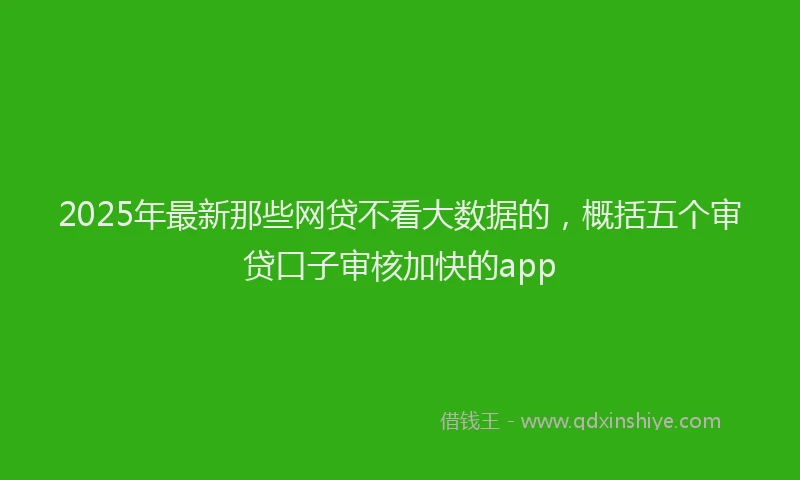 2025年最新那些网贷不看大数据的，概括五个审贷口子审核加快的app
