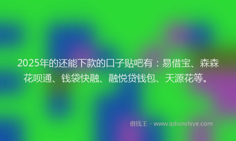 2025年的还能下款的口子贴吧有：易借宝、森森花呗通、钱袋快融、融悦贷钱包、天源花等。