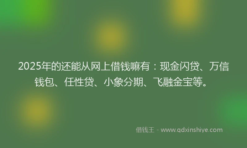 2025年的还能从网上借钱嘛有：现金闪贷、万信钱包、任性贷、小象分期、飞融金宝等。
