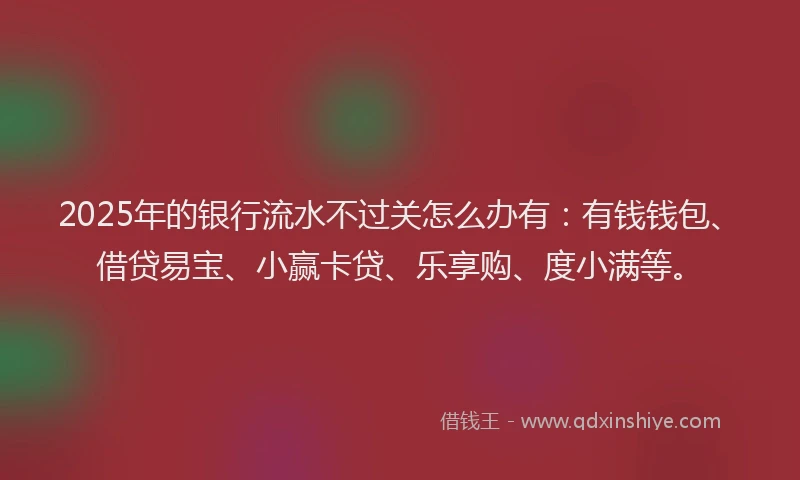 2025年的银行流水不过关怎么办有：有钱钱包、借贷易宝、小赢卡贷、乐享购、度小满等。