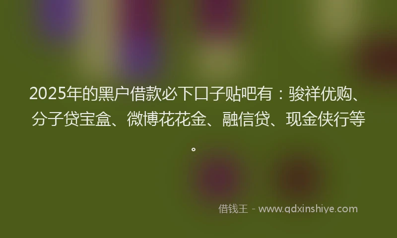 2025年的黑户借款必下口子贴吧有：骏祥优购、分子贷宝盒、微博花花金、融信贷、现金侠行等。