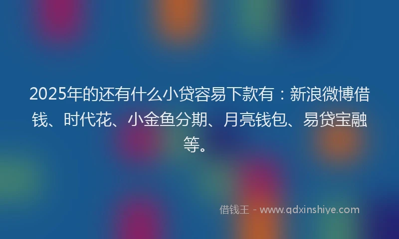 2025年的还有什么小贷容易下款有：新浪微博借钱、时代花、小金鱼分期、月亮钱包、易贷宝融等。