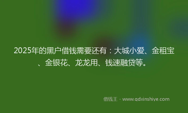 2025年的黑户借钱需要还有：大城小爱、金租宝、金银花、龙龙用、钱速融贷等。