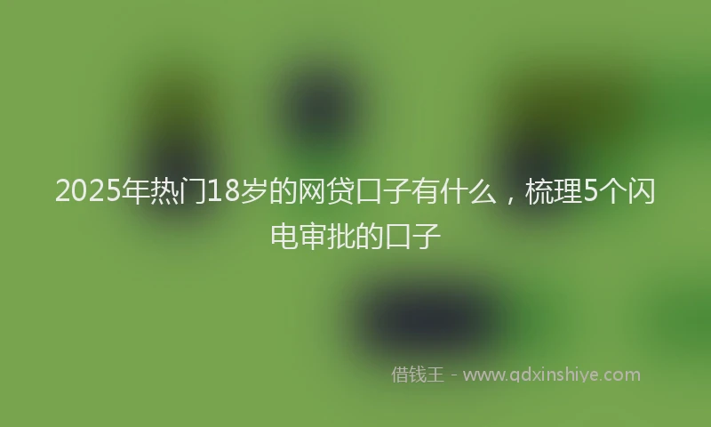 2025年热门18岁的网贷口子有什么，梳理5个闪电审批的口子