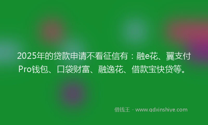 2025年的贷款申请不看征信有：融e花、翼支付Pro钱包、口袋财富、融逸花、借款宝快贷等。