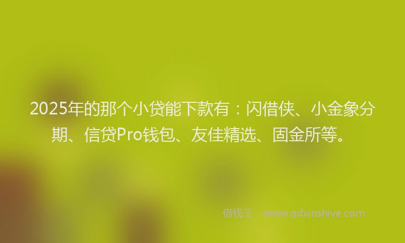 2025年的那个小贷能下款有：闪借侠、小金象分期、信贷Pro钱包、友佳精选、固金所等。