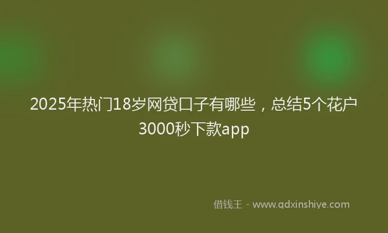 2025年热门18岁网贷口子有哪些，总结5个花户3000秒下款app