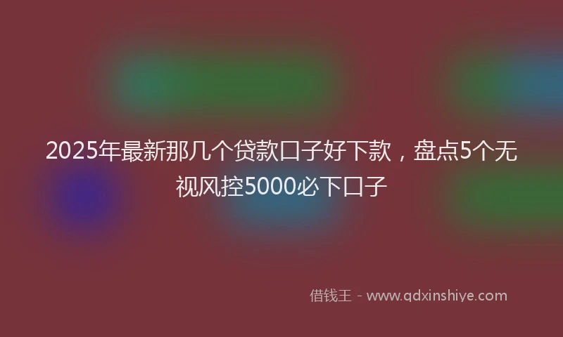 2025年最新那几个贷款口子好下款，盘点5个无视风控5000必下口子