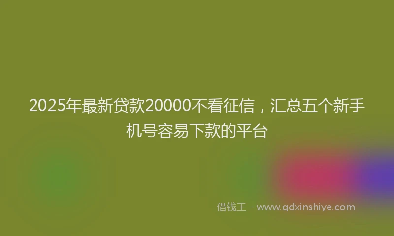 2025年最新贷款20000不看征信，汇总五个新手机号容易下款的平台