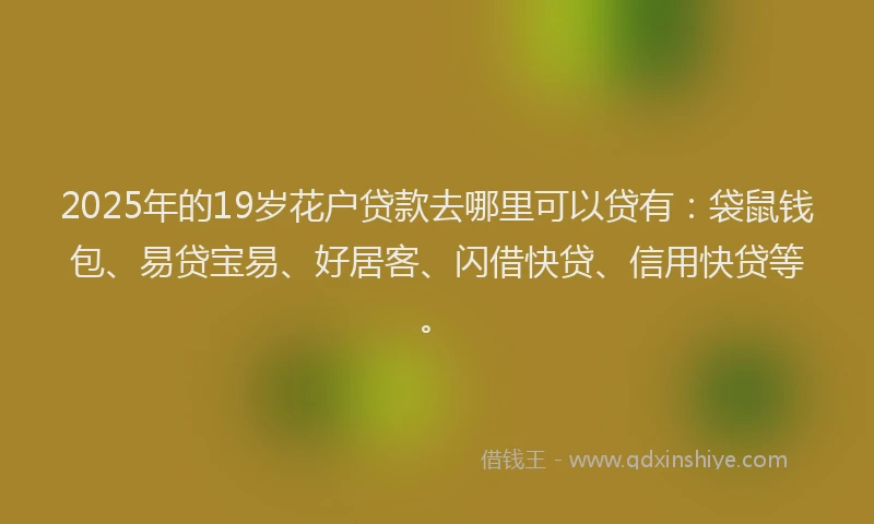 2025年的19岁花户贷款去哪里可以贷有：袋鼠钱包、易贷宝易、好居客、闪借快贷、信用快贷等。