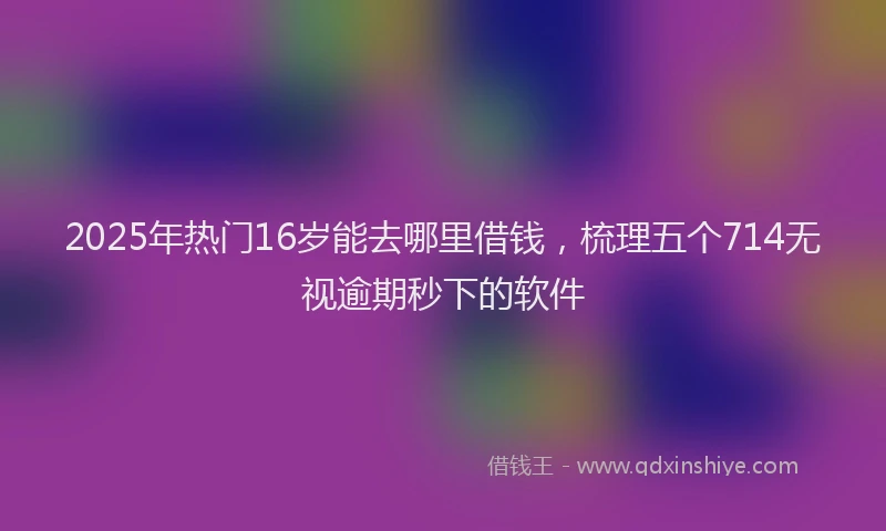 2025年热门16岁能去哪里借钱，梳理五个714无视逾期秒下的软件