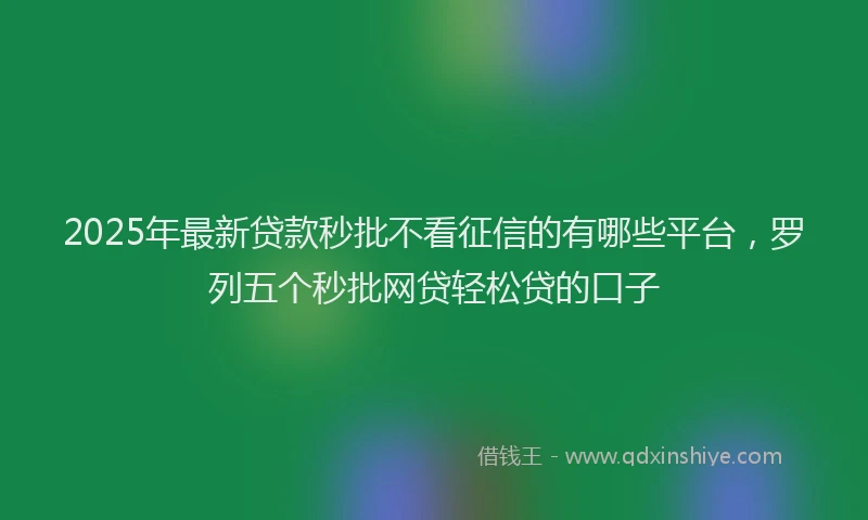 2025年最新贷款秒批不看征信的有哪些平台，罗列五个秒批网贷轻松贷的口子