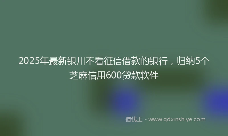 2025年最新银川不看征信借款的银行，归纳5个芝麻信用600贷款软件