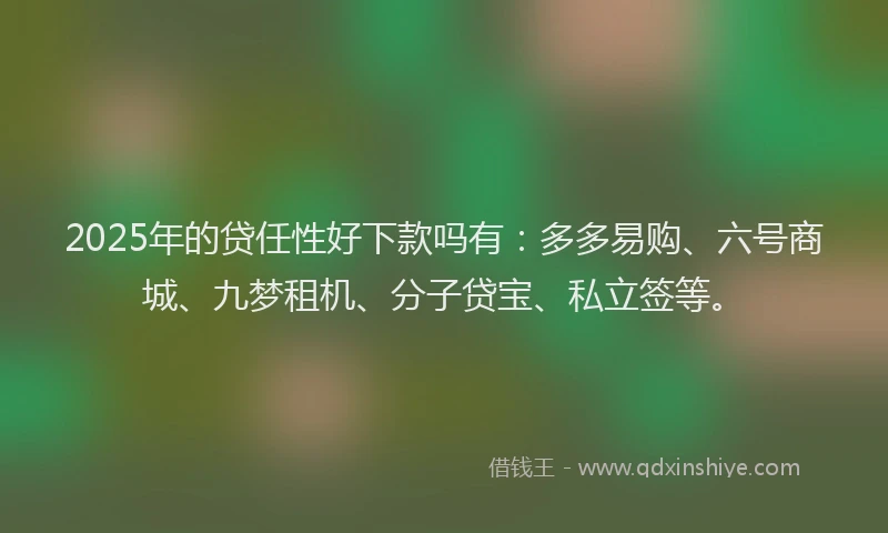2025年的贷任性好下款吗有：多多易购、六号商城、九梦租机、分子贷宝、私立签等。