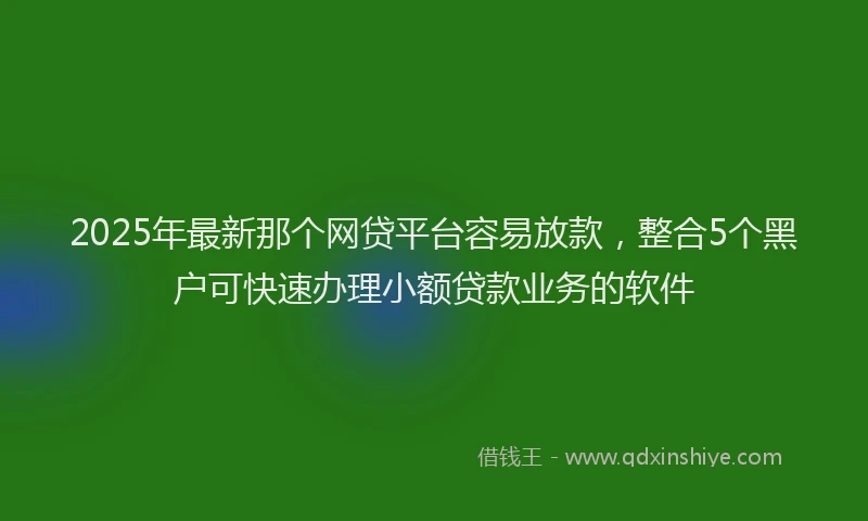 2025年最新那个网贷平台容易放款，整合5个黑户可快速办理小额贷款业务的软件