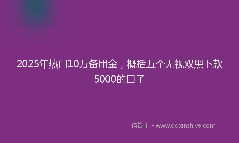 2025年热门10万备用金，概括五个无视双黑下款5000的口子
