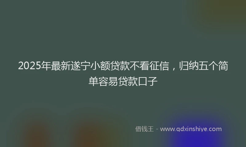 2025年最新遂宁小额贷款不看征信，归纳五个简单容易贷款口子