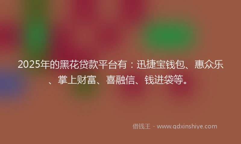 2025年的黑花贷款平台有：迅捷宝钱包、惠众乐、掌上财富、喜融信、钱进袋等。