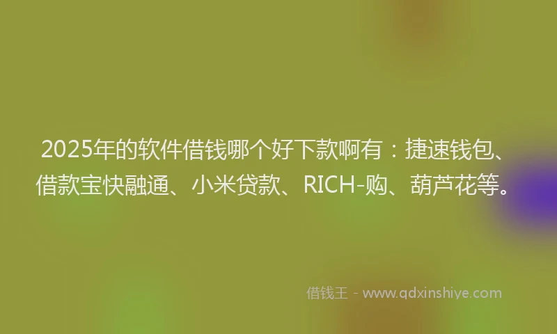 2025年的软件借钱哪个好下款啊有：捷速钱包、借款宝快融通、小米贷款、RICH-购、葫芦花等。