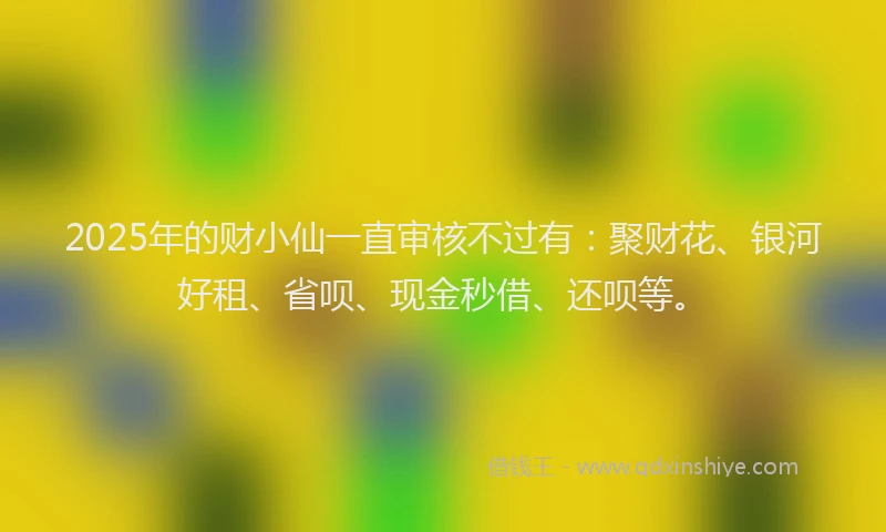 2025年的财小仙一直审核不过有：聚财花、银河好租、省呗、现金秒借、还呗等。