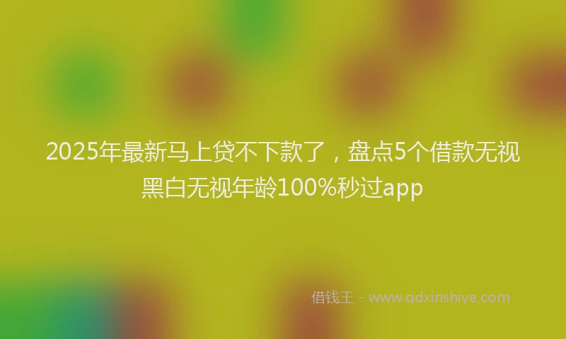 2025年最新马上贷不下款了，盘点5个借款无视黑白无视年龄100%秒过app