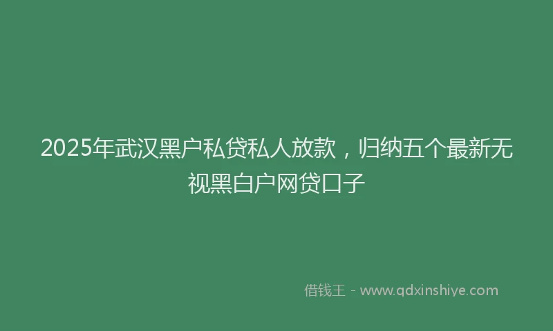 2025年武汉黑户私贷私人放款，归纳五个最新无视黑白户网贷口子