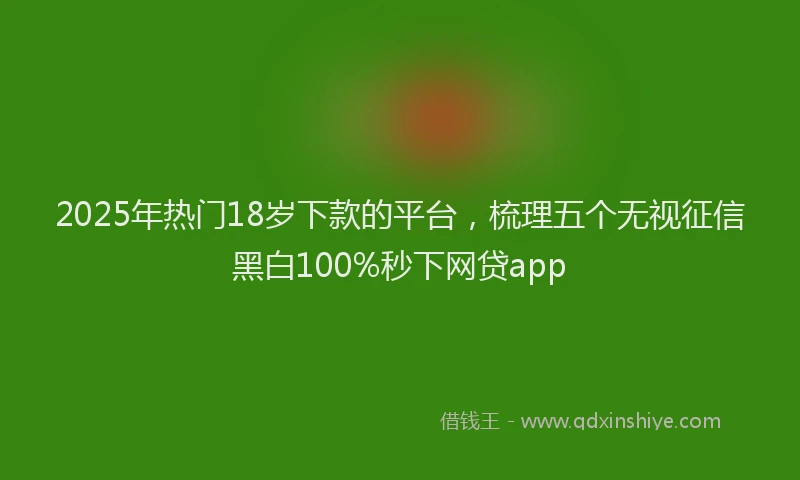 2025年热门18岁下款的平台，梳理五个无视征信黑白100%秒下网贷app
