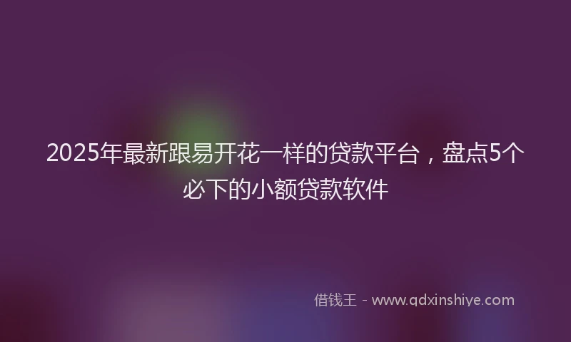 2025年最新跟易开花一样的贷款平台，盘点5个必下的小额贷款软件