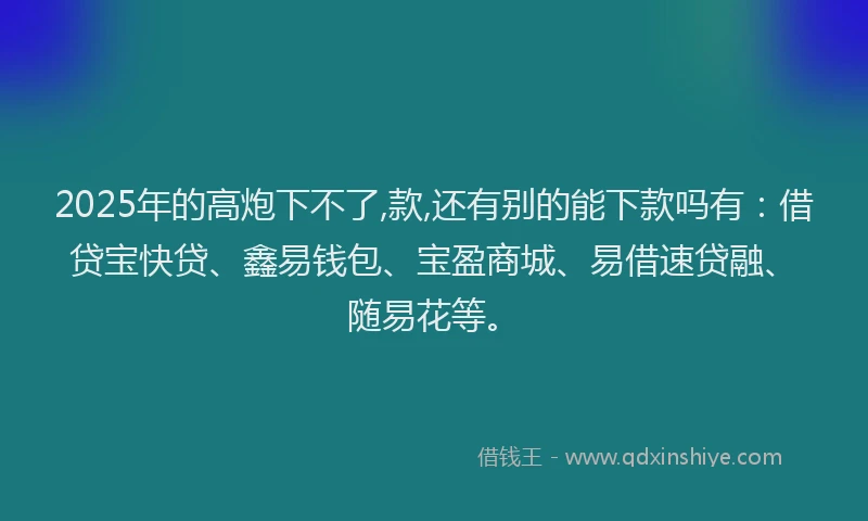 2025年的高炮下不了,款,还有别的能下款吗有：借贷宝快贷、鑫易钱包、宝盈商城、易借速贷融、随易花等。