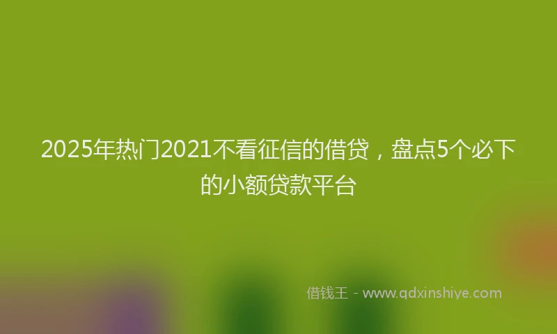 2025年热门2021不看征信的借贷，盘点5个必下的小额贷款平台