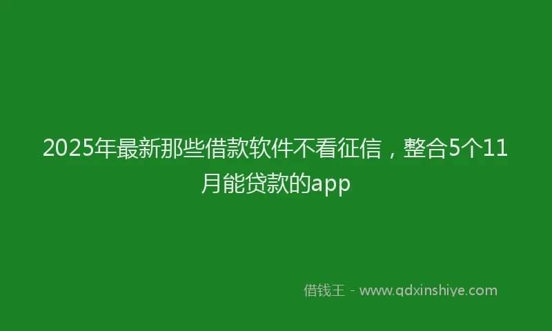 2025年最新那些借款软件不看征信，整合5个11月能贷款的app