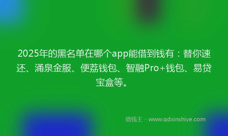 2025年的黑名单在哪个app能借到钱有：替你速还、涌泉金服、便荔钱包、智融Pro+钱包、易贷宝盒等。