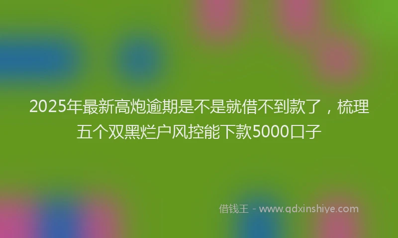 2025年最新高炮逾期是不是就借不到款了，梳理五个双黑烂户风控能下款5000口子