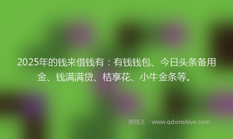 2025年的钱来借钱有：有钱钱包、今日头条备用金、钱满满贷、桔享花、小牛金条等。